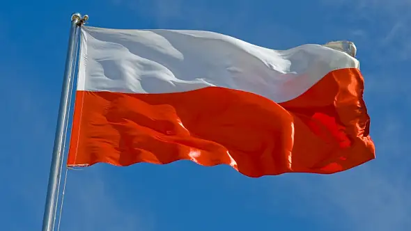 Konary drzewa na DK42 w Gręboszowie – interwencja OSP Domaszowice