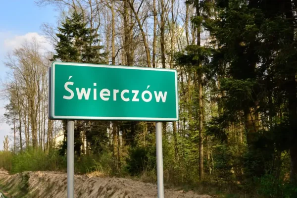 Warsztaty kulinarne w Świerczowie: dzieci uczyły się robić pizzę