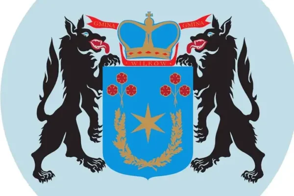 Kotka znaleziona przed Biedronką w Wilkowie – szuka domu