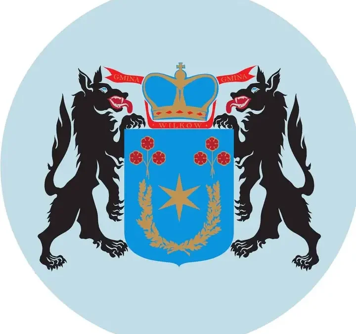 Kotka znaleziona przed Biedronką w Wilkowie – szuka domu