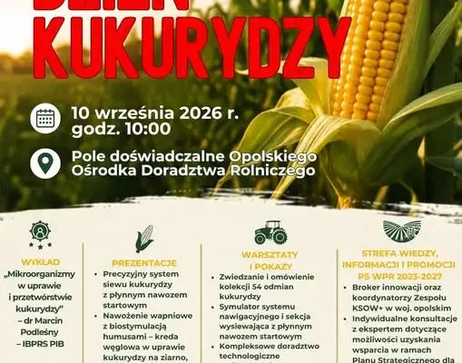 Dzień Kukurydzy w Łosiowie – 10 września 2026 r.