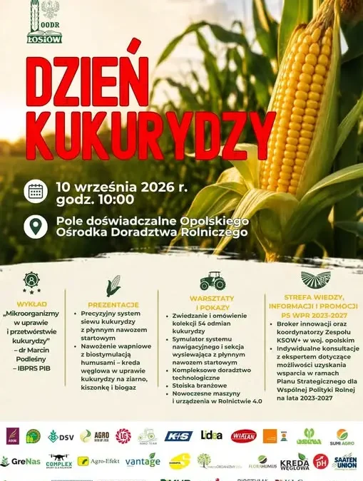 Dzień Kukurydzy w Łosiowie – 10 września 2026 r.