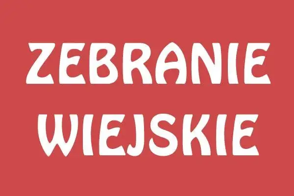 Zebranie wiejskie w Domaszowicach – fundusz sołecki 2026 i 2027 w centrum uwagi