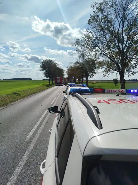 Biestrzykowice: auto uderzyło w drzewo, na miejscu działały służby ratunkowe