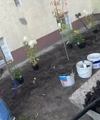 Mieszkańcy Domaszowic posadzili rośliny w ramach projektu „Wszyscy razem!”