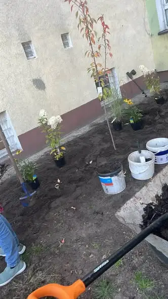 Mieszkańcy Domaszowic posadzili rośliny w ramach projektu „Wszyscy razem!”