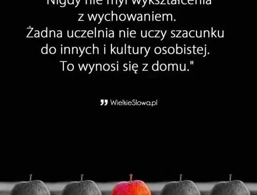 Apel o szacunek: hejt w szkole i agresja słowna w dorosłym życiu