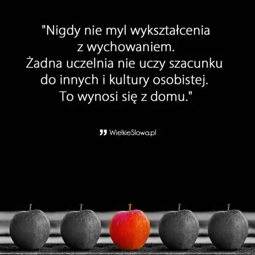 Apel o szacunek: hejt w szkole i agresja słowna w dorosłym życiu