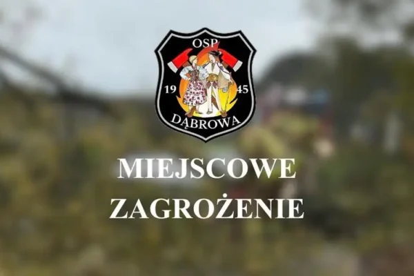 Pochylone drzewo nad jezdnią w Kuźnicy Dąbrowskiej – interwencja OSP Dąbrowa