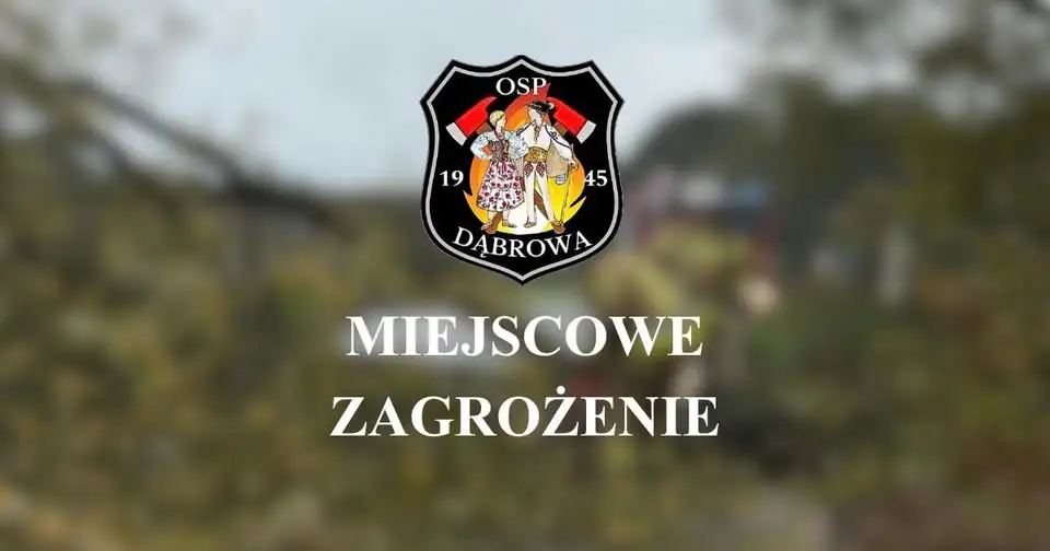 Pochylone drzewo nad jezdnią w Kuźnicy Dąbrowskiej – interwencja OSP Dąbrowa